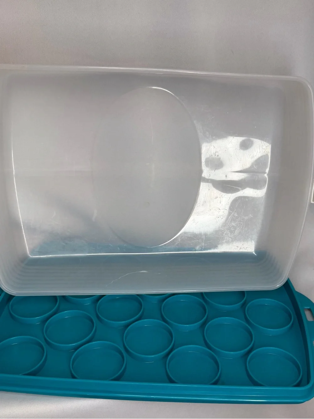Tupperware Teal 2-in-1 Cake & Cupcake Carrier